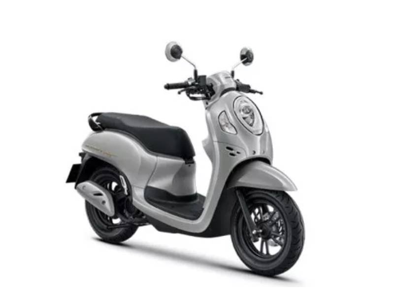Honda Scoopy